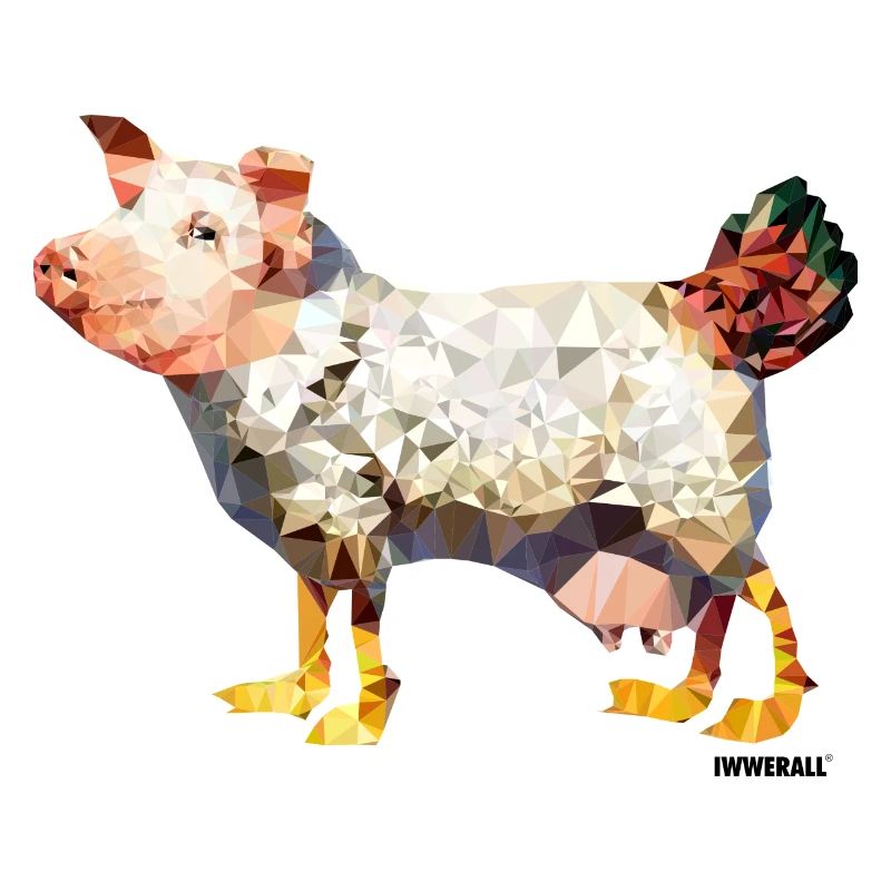 Egg-laying wool milk sow