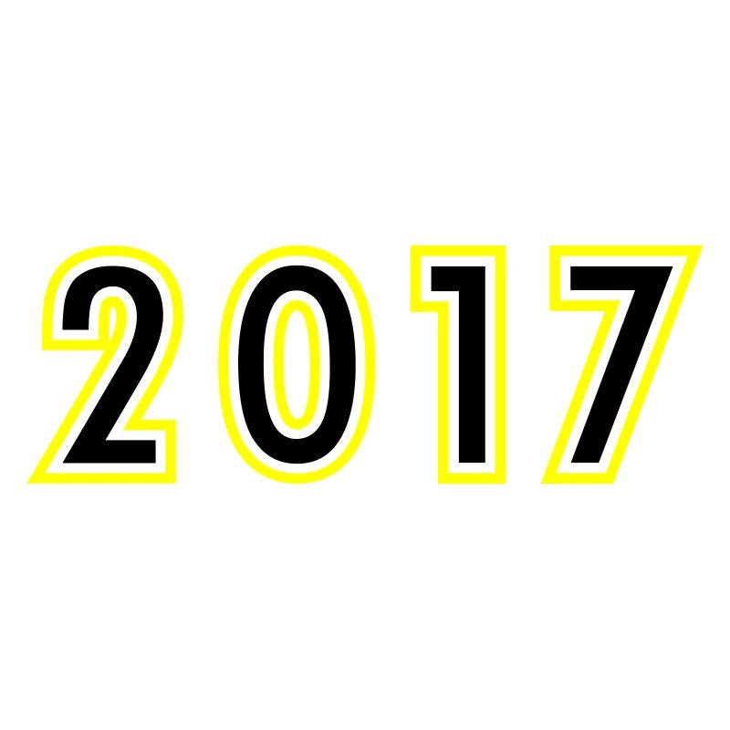 2017 Year Birthday