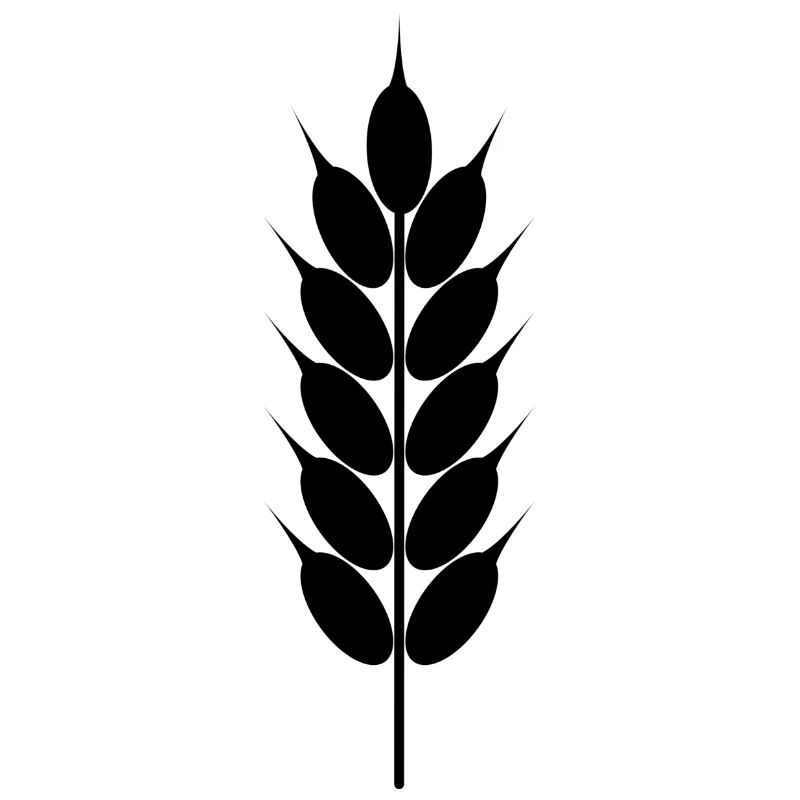 cereals corn cereal wheat wheat veggie gemuese v