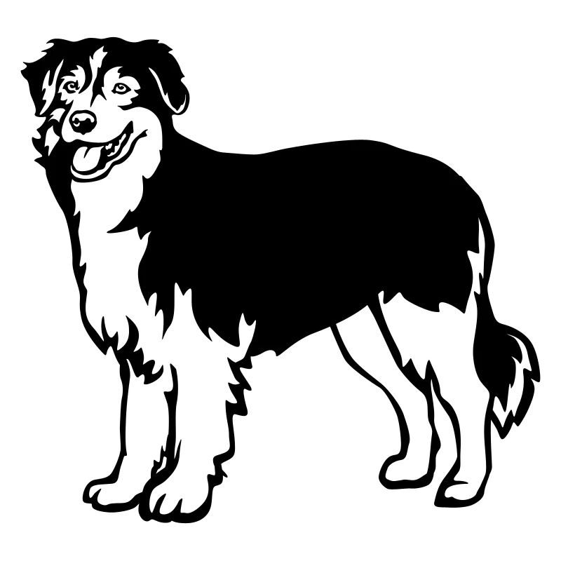 Australian Shepherd