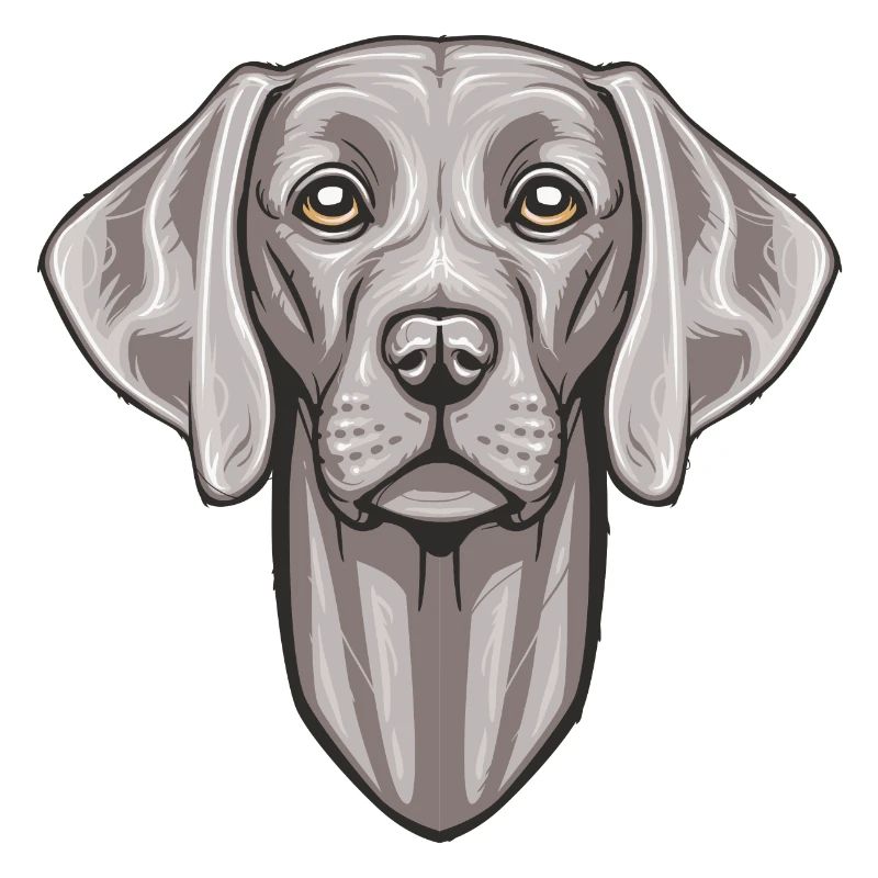 Weimaraner