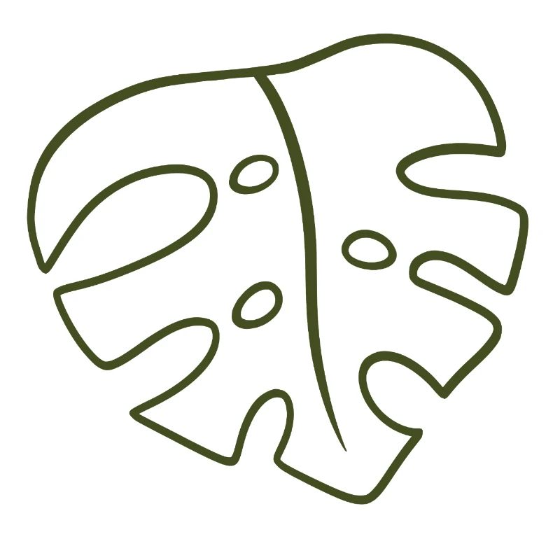 Monstera Line Art Leaf