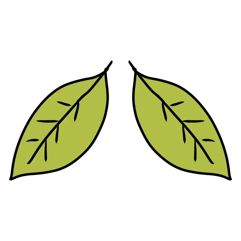 two leaves leaf green icon