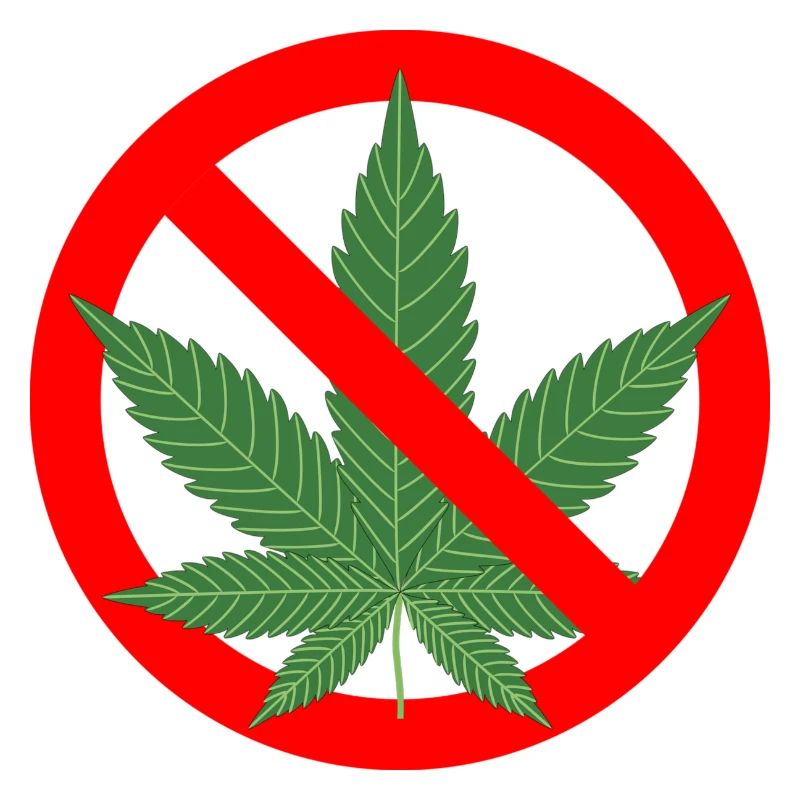 Aucune interdiction de cannabis