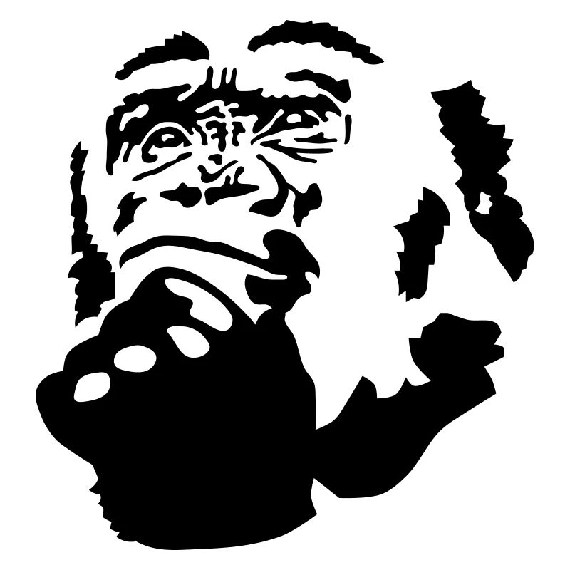 monkey