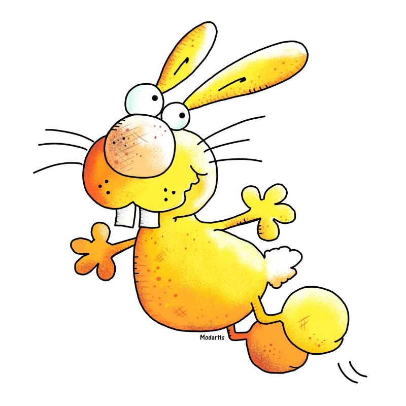 Crazy Rabbit - Lapin