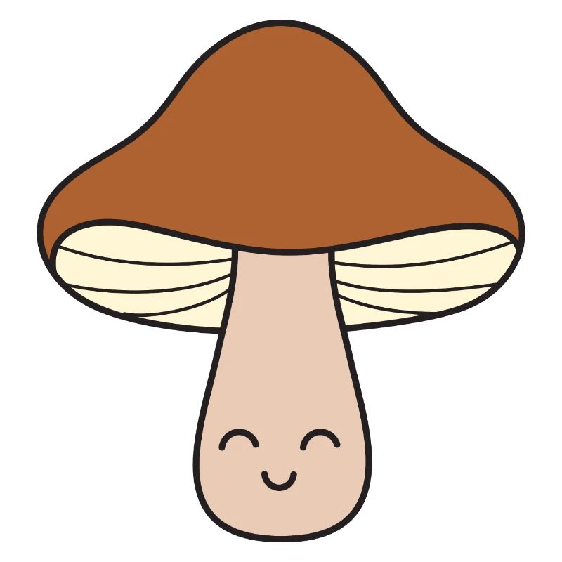 Champignons champignons