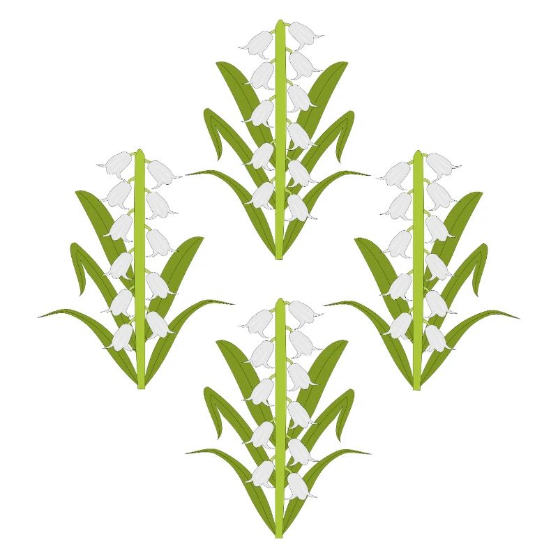 Fleur de naissance de mai, muguet-de-vallée