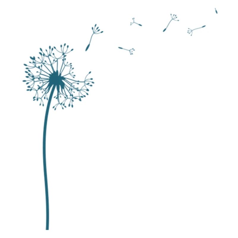 Federleichter Löwenzahn mit Pusteblumen