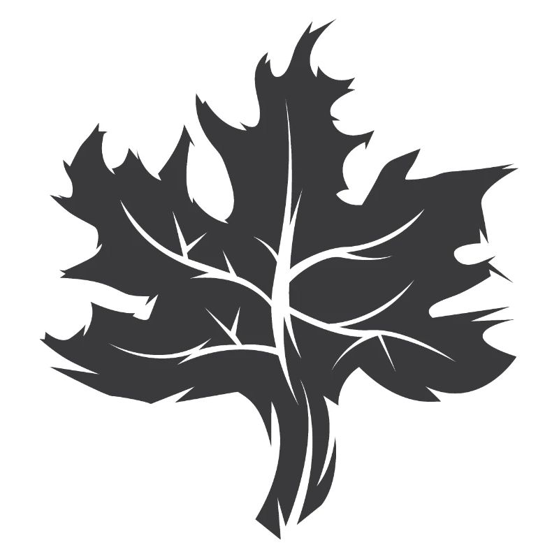 Maple Leaf Illustration Nature Forest Icône graphique