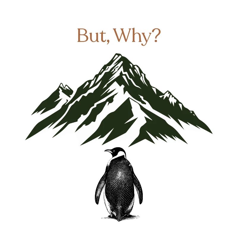 But, Why? Berglandschaft