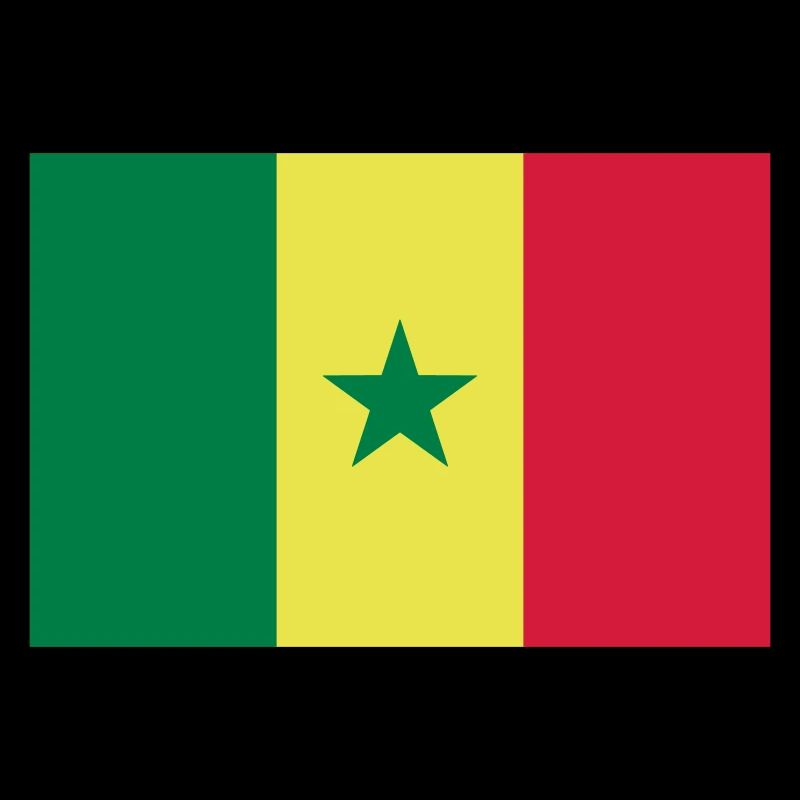 Drapeau Sénégal / Flagge von Senegal