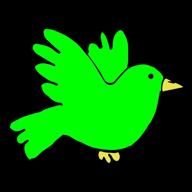 bird colors