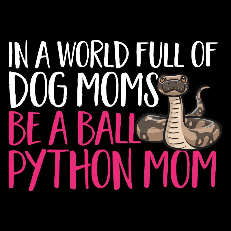 Ball Python Schlange Königspython