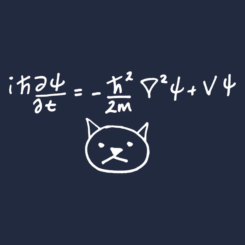 Physical Cat with Equation on White