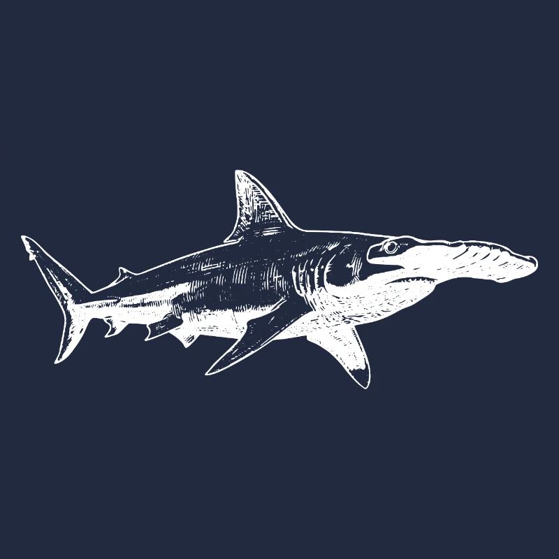 Silhouette du requin-marteau de minuit
