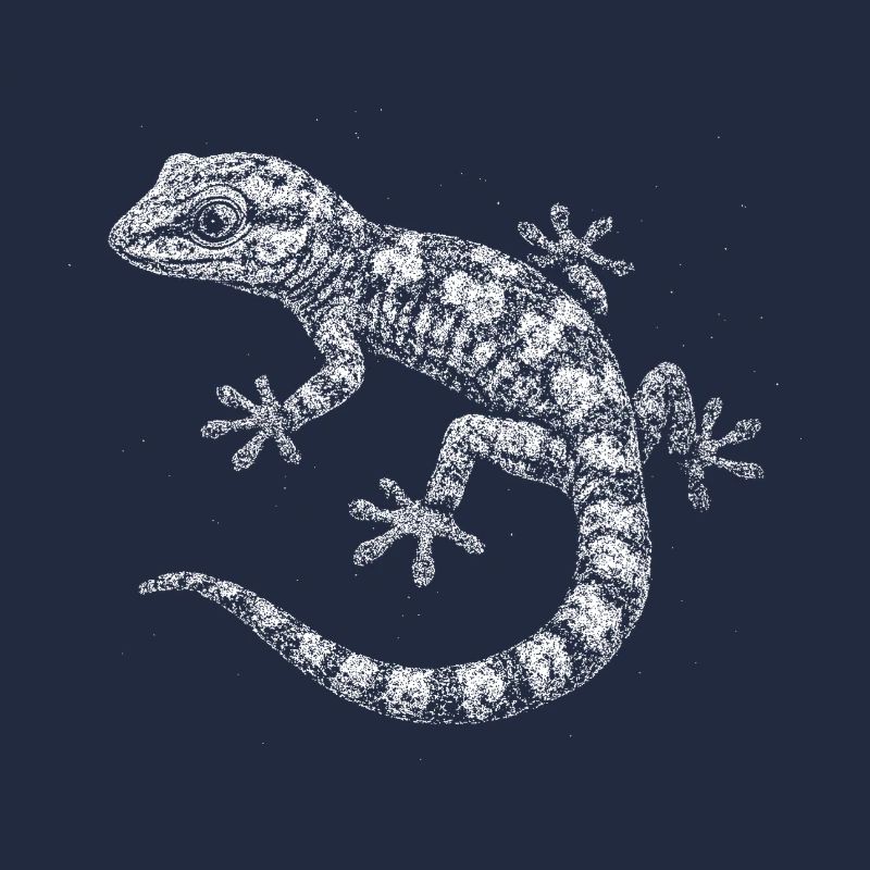A gecko