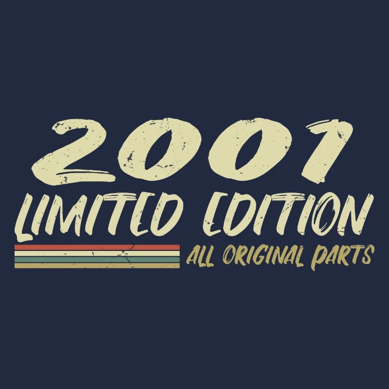 Geburtstagsgeschenk 2001 Geschenkidee 2001