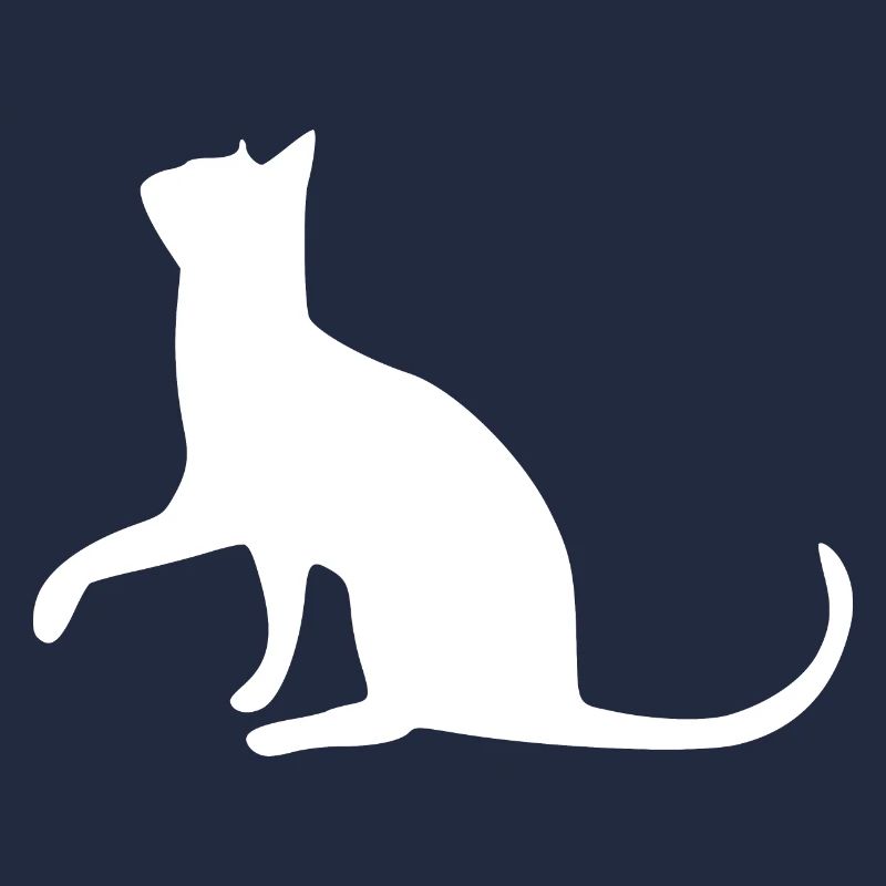 Chat chat chat chat chatte minette minou minou patte