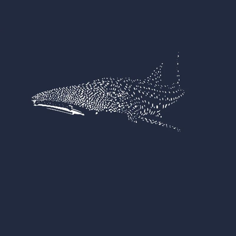 Requin-baleine