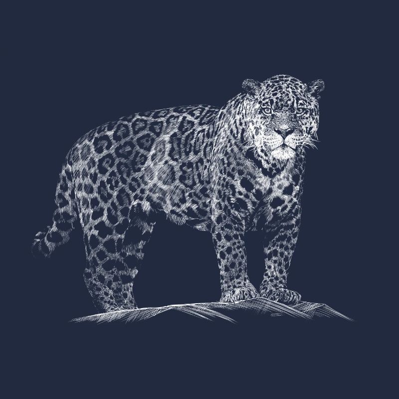 Léopard
