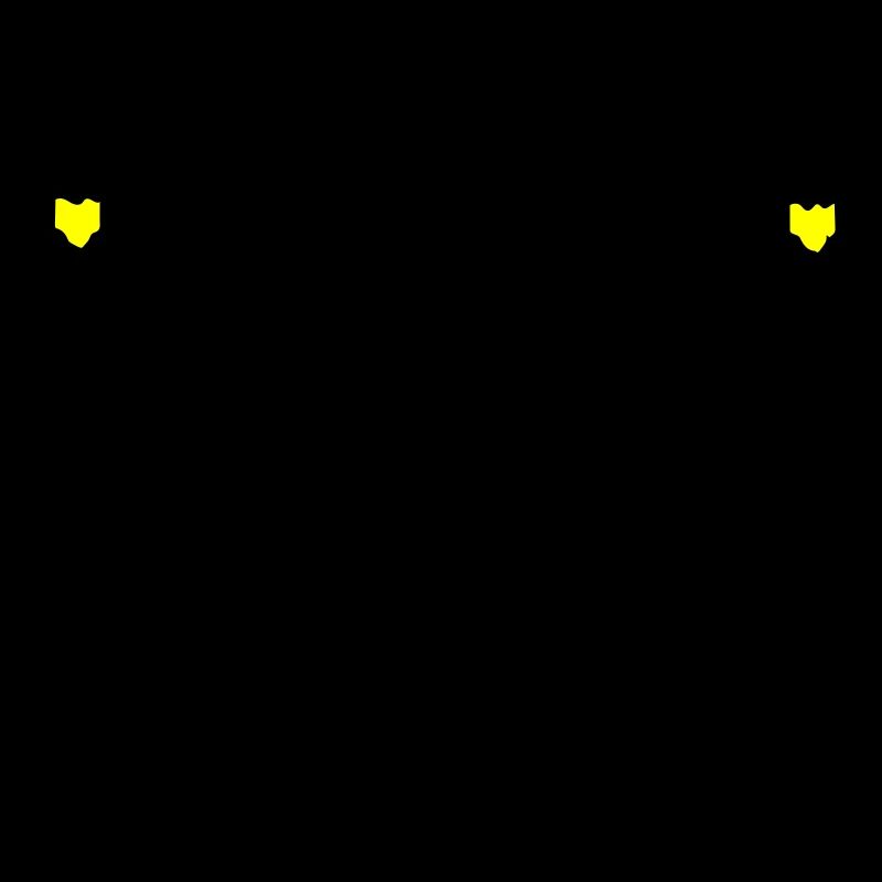 Bachelor Bräutigam Team Junggesellen