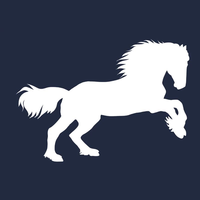 Puissance des chevaux