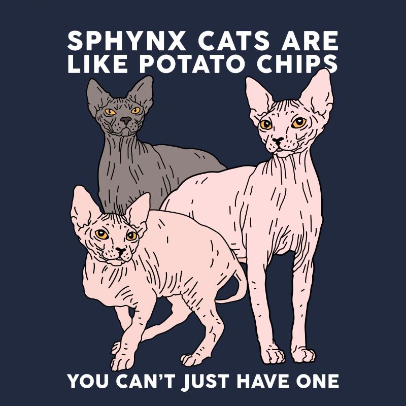 Sphynx Katzen Sphinx | Katzenbesitzer Geschenk