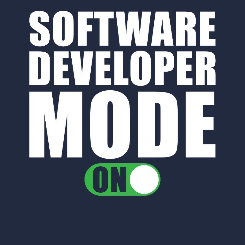 Software Entwickler Modus Ein