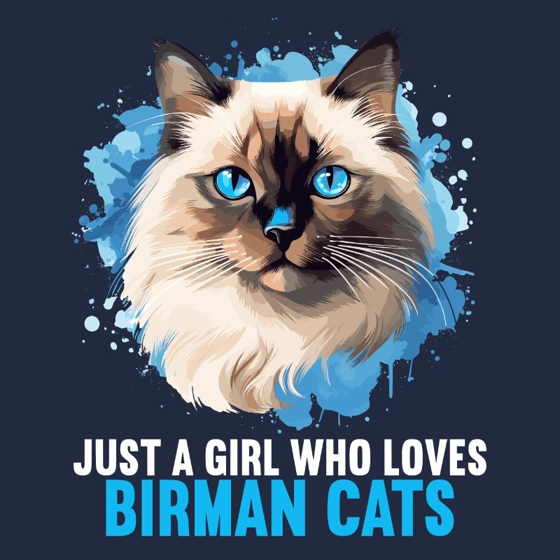 Birman Cat Birma Katze
