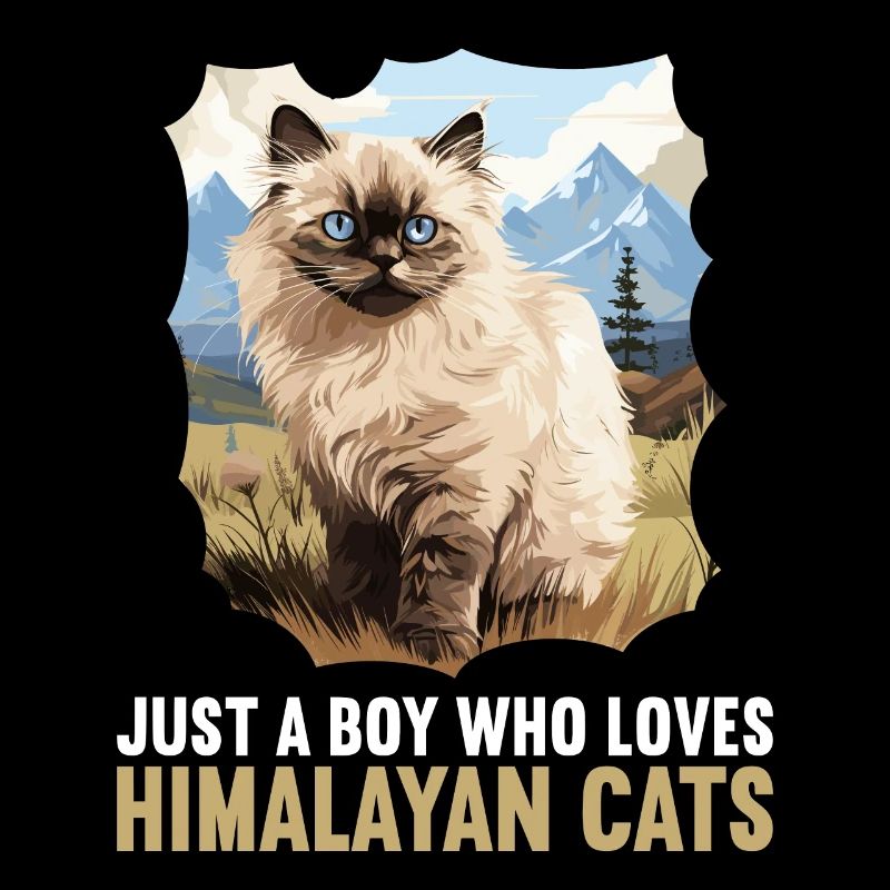 Chat de l’Himalaya Colourpoint Katze
