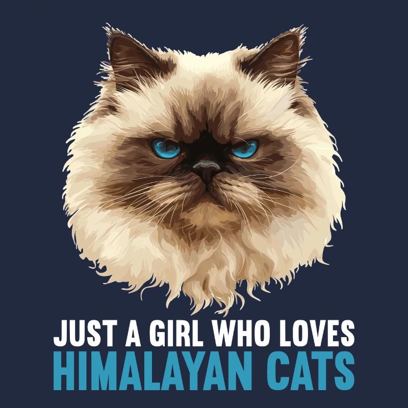 Himalayan Cat Colourpoint Katze