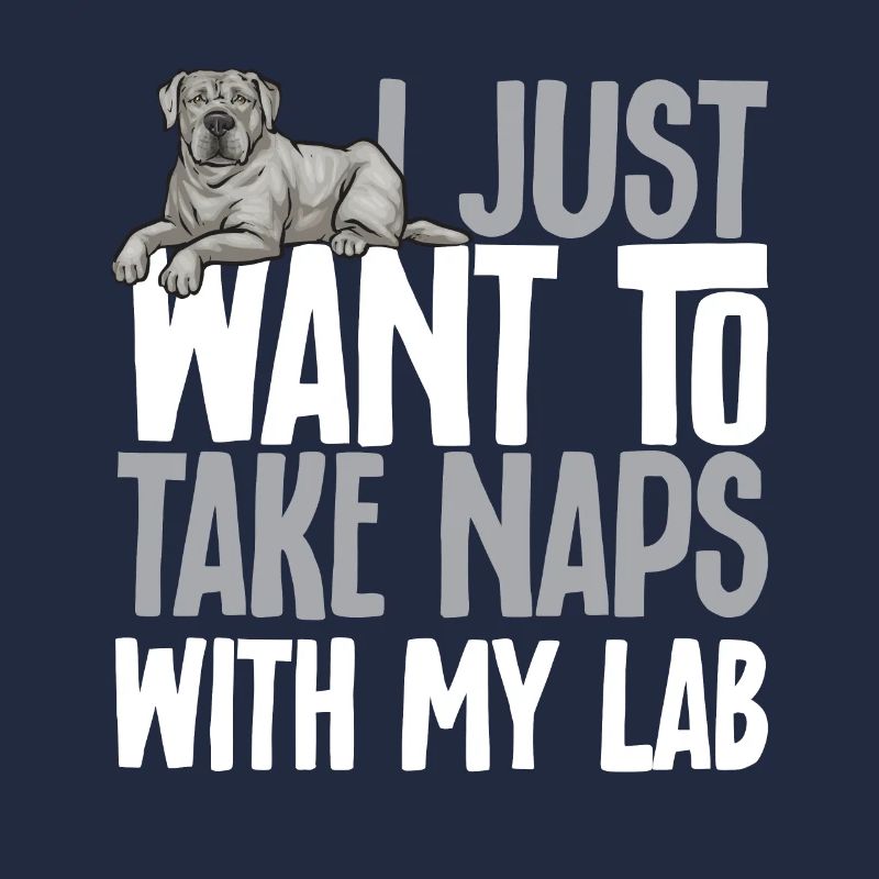 Silver Labrador Retriever Silver Lab