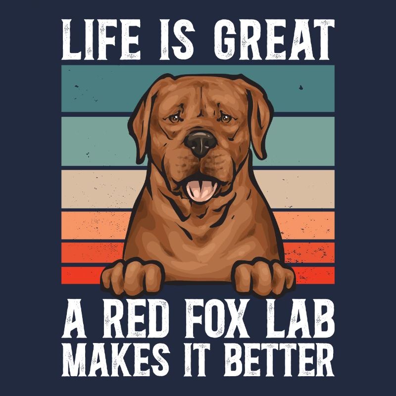 Fuchsroter Labrador Retriever Fox Red Labrador