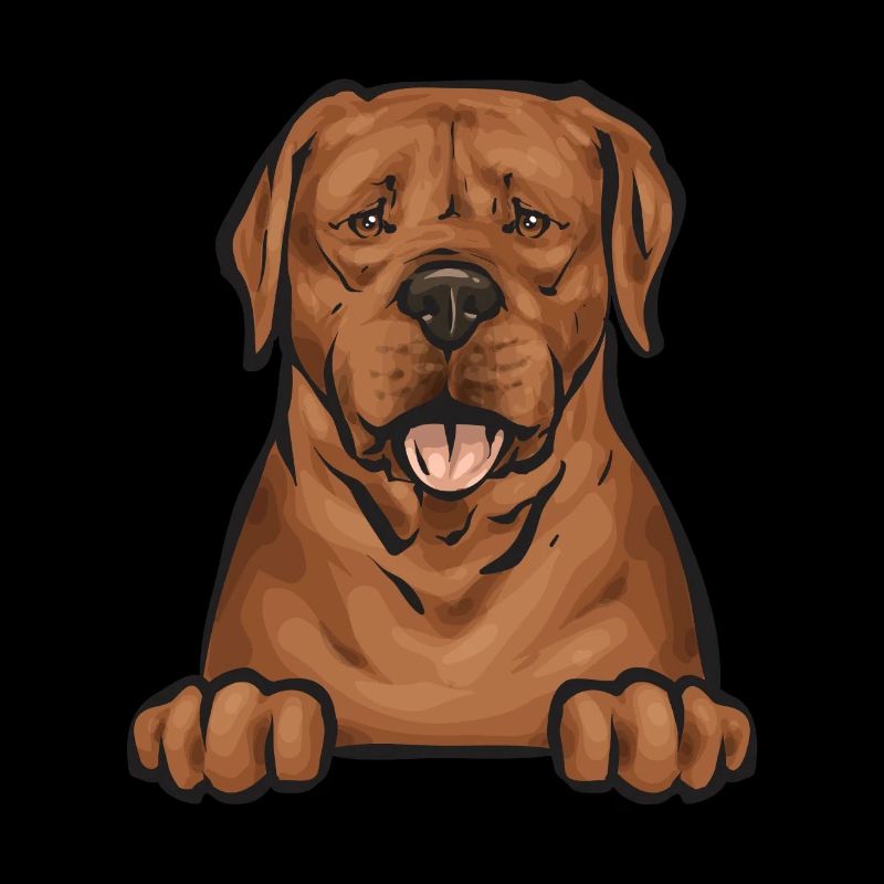 Fuchsroter Labrador Retriever Fox Red Labrador