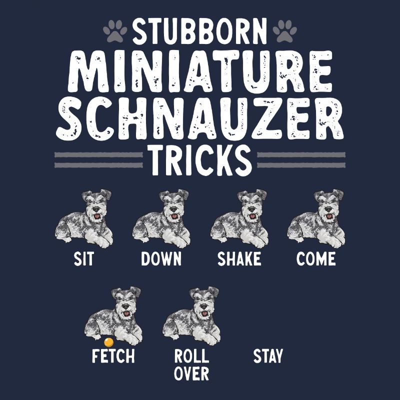 Zwergschnauzer Hund Schnauzer