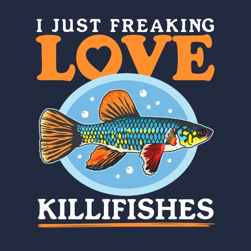 Killifish Egg-laying Toothcarp Fish Gift