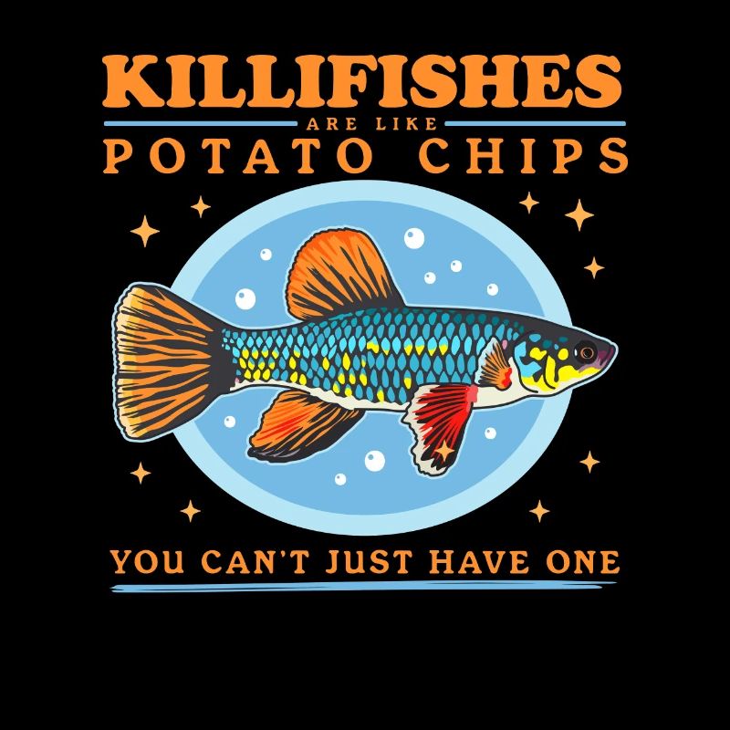 Egg-laying Toothcarp Killifish Gift