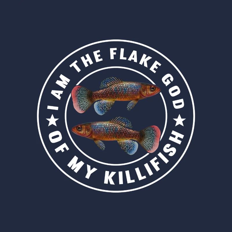Killifish Quarium Fish