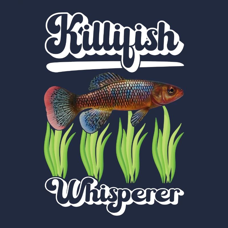 Killifish Quarium Fish