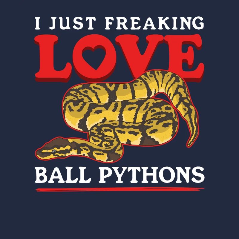 Königspython Schlangen Python Geschenke