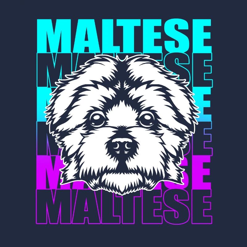 Maltese Dog