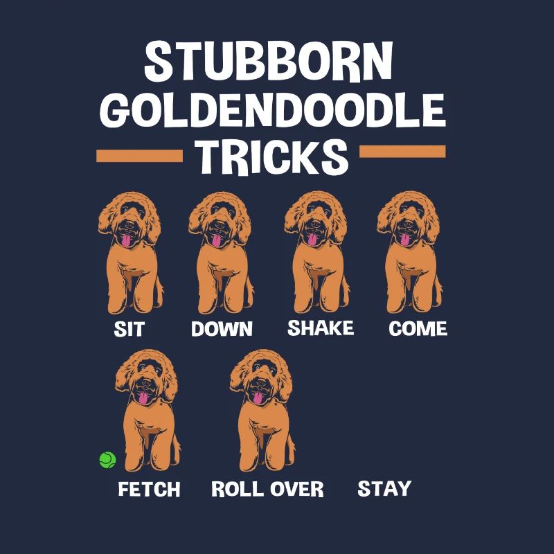 Goldendoodle
