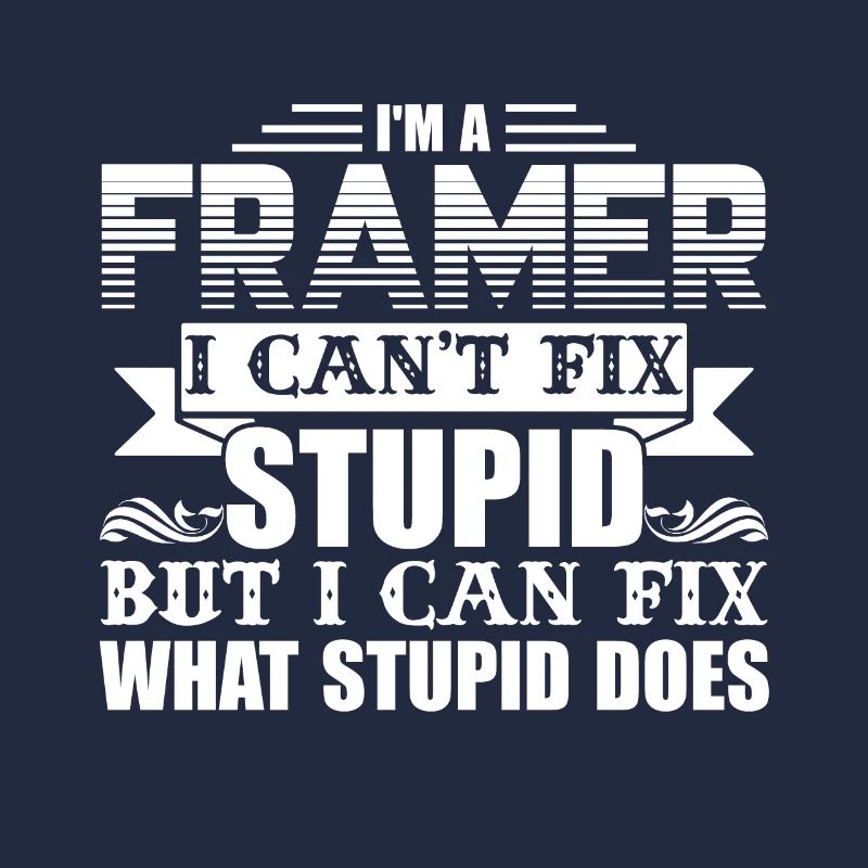 Framer I Can't Fix Stupid