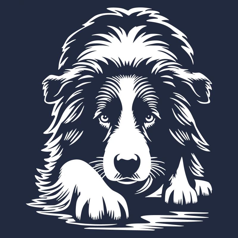 Border Collie "Black Edition"