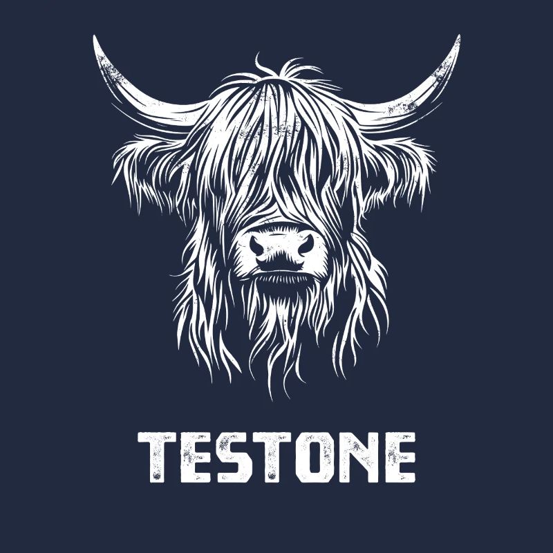 Testone - Scottish Highland Cattle - Italian