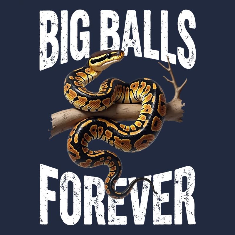 Python roi Serpents Amateurs de terrarium Python