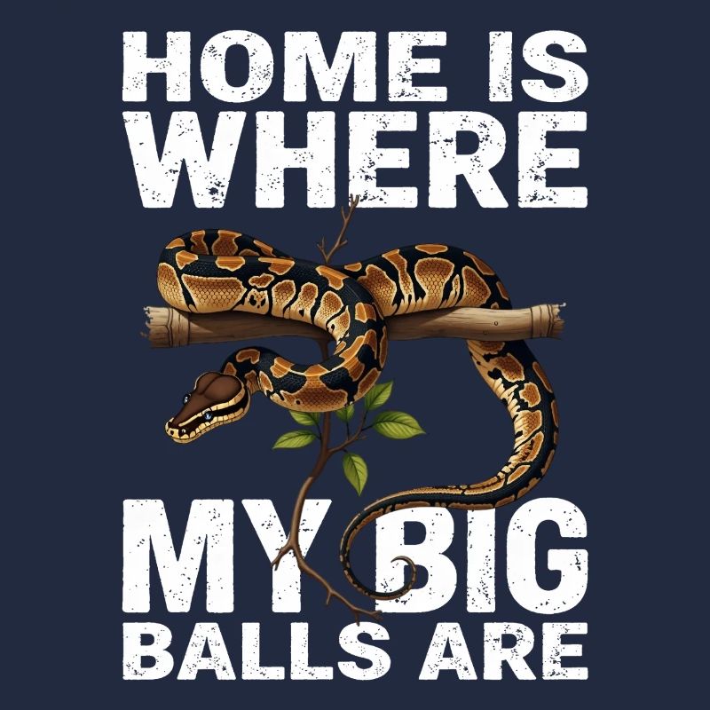 Python roi Serpents Amateurs de terrarium Python