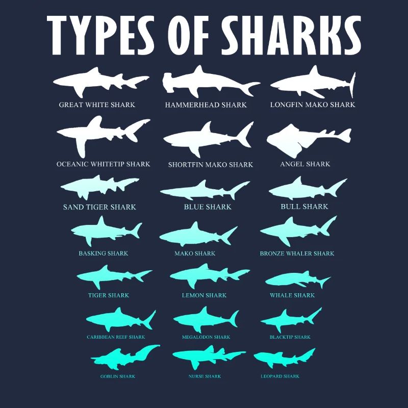 Types de requins Conception des requins d’océan | Chemise de requin