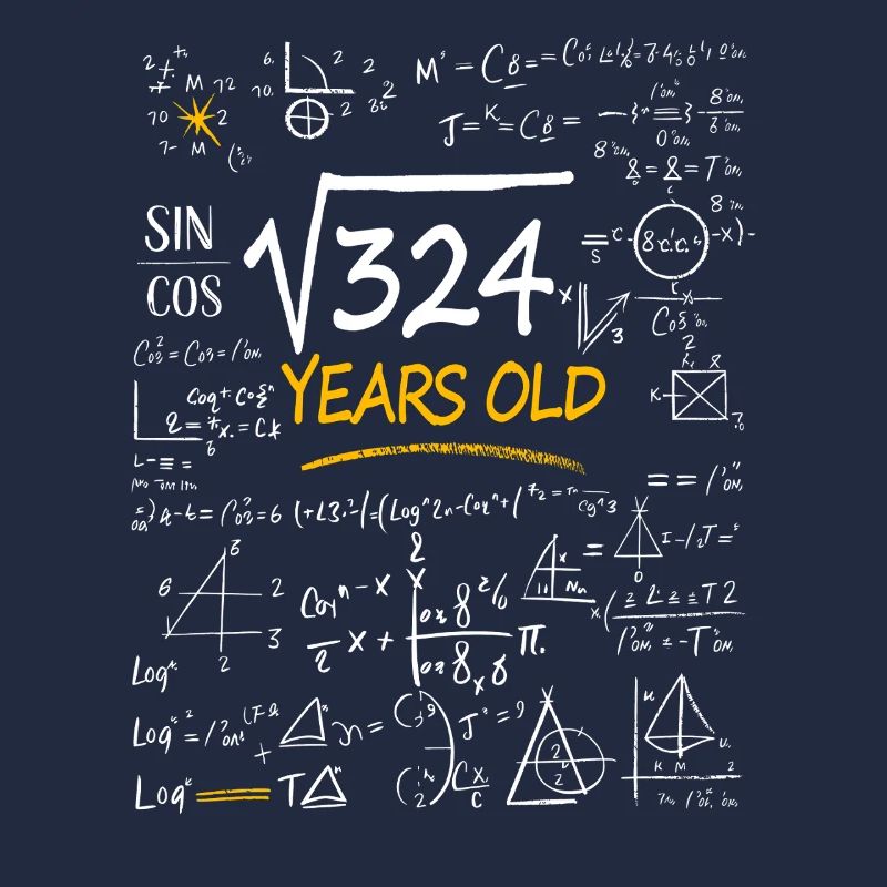 18 Years Birthday Math Formulas Funny